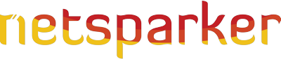 Netsparker